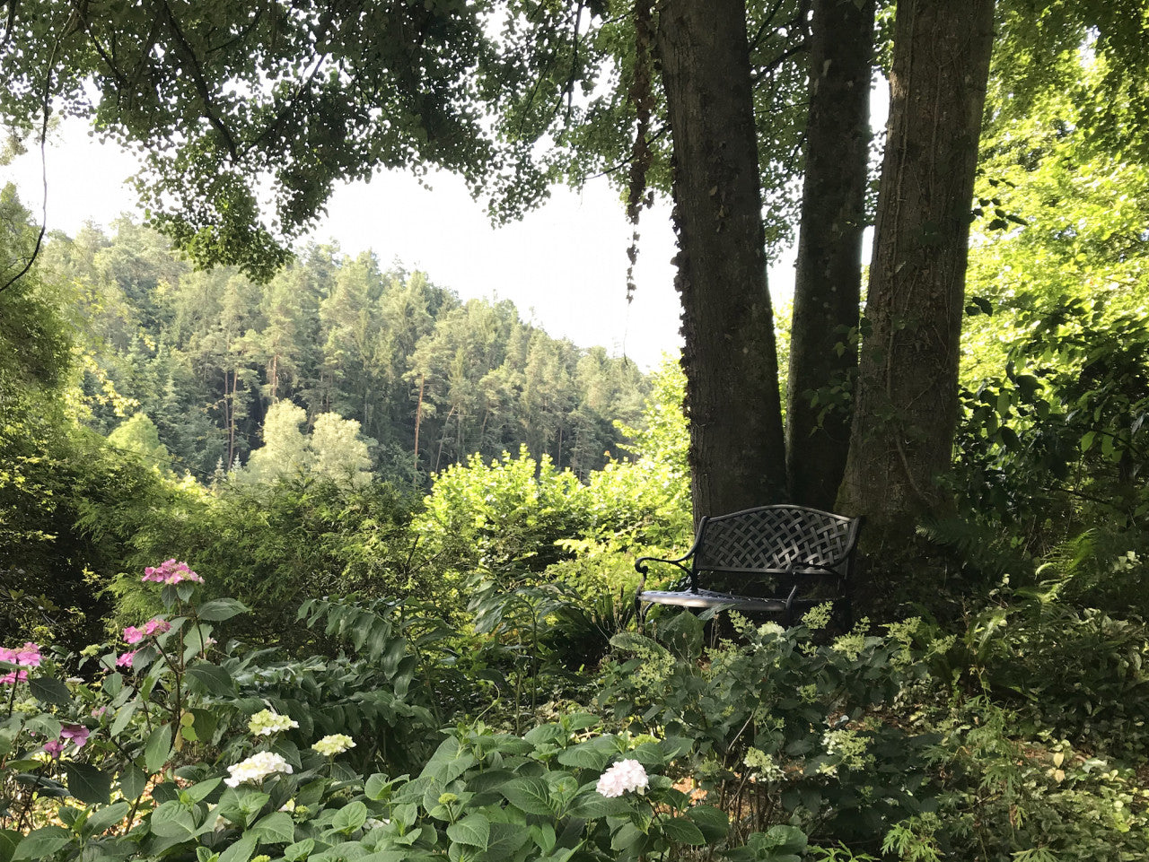 Jasmine Bank unter einem Baum