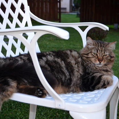 ROSE chaise de jardin