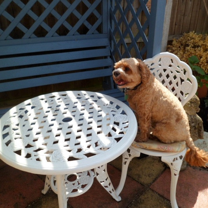 Ensemble bistrot ROSE (Table et 2 chaises)